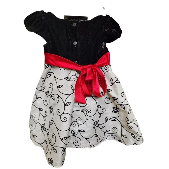 Youngland Size 2T Party Dress Embroidered Lined Velvet - Picture 3 of 7